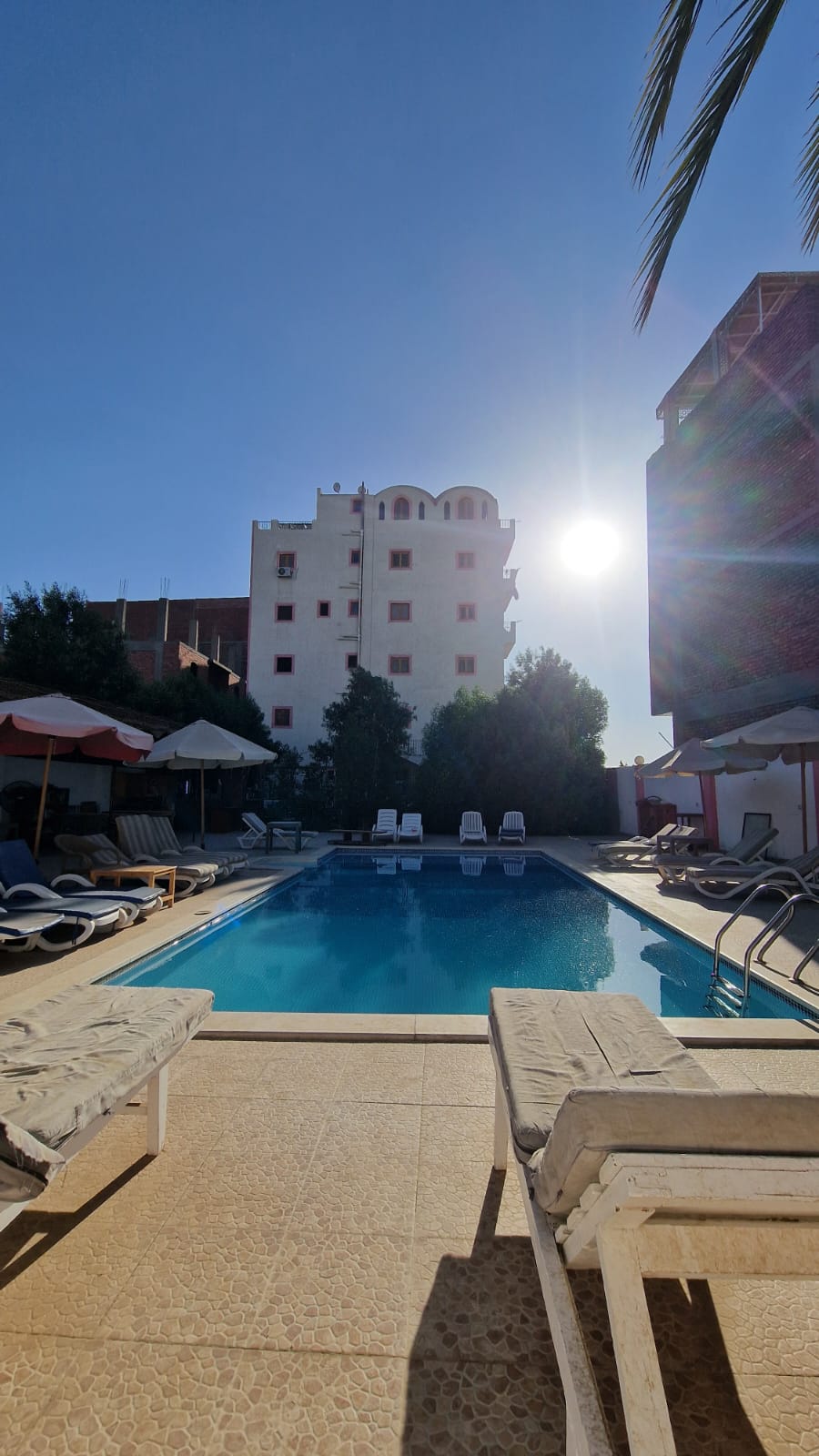 Poolside loungers and umbrellas at Fayrouz Guest Home with the neighbourhood skyline behind